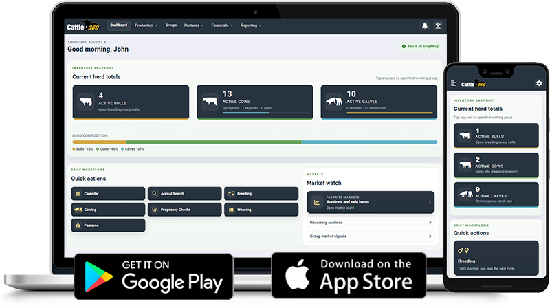 Cattle360 dashboard shown across laptop and mobile layouts with herd records and operational tools